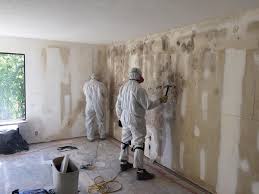 Reliable Valley Center, CA Mold Inspection Solutions